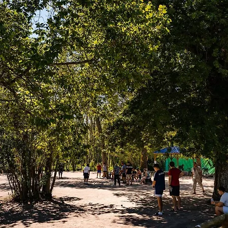 Camping 318 Emplacement Prestige A Mer Et Soleil 5*